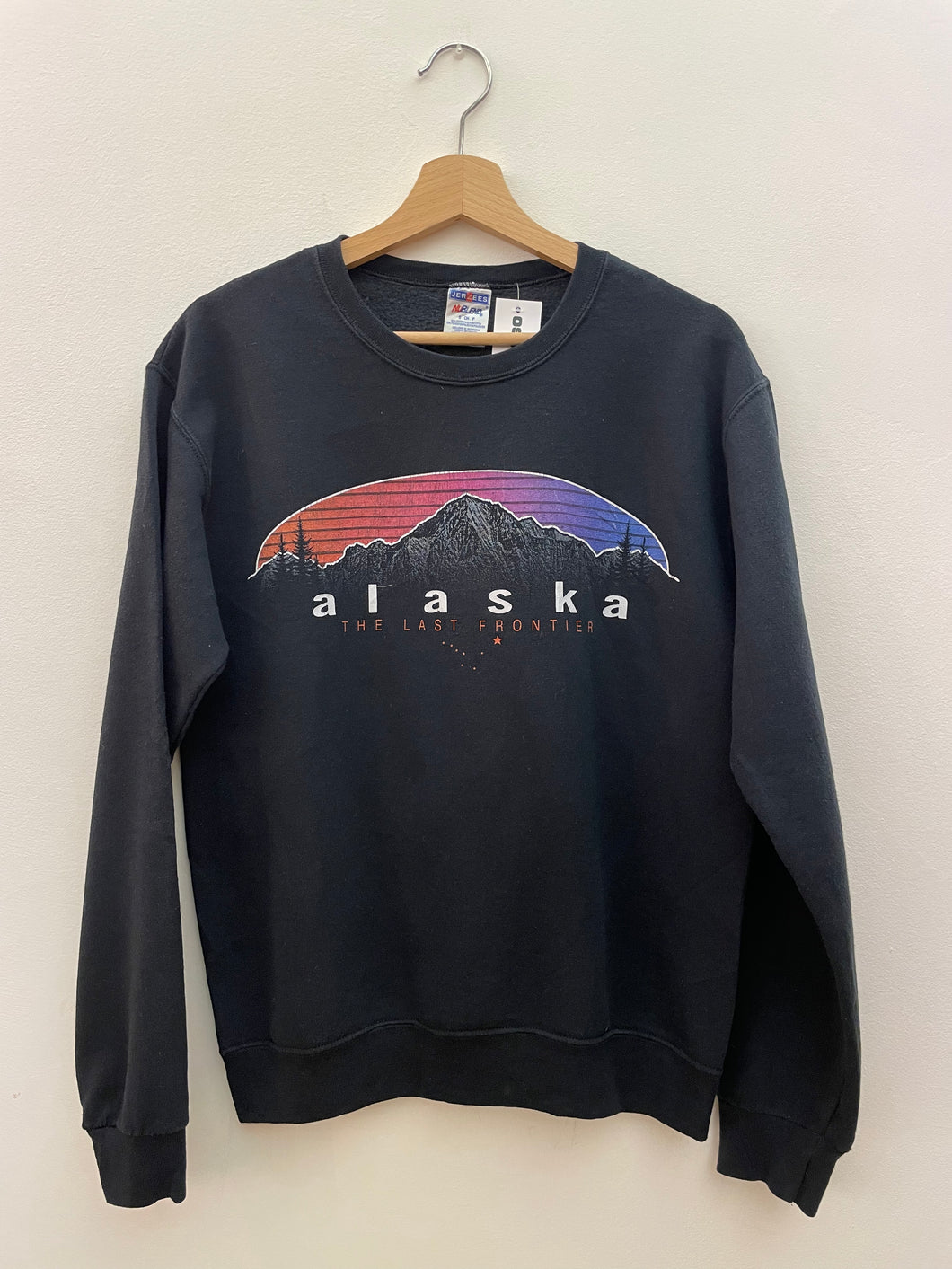 Felpa vintage Alaska usa 🇺🇸 taglia S